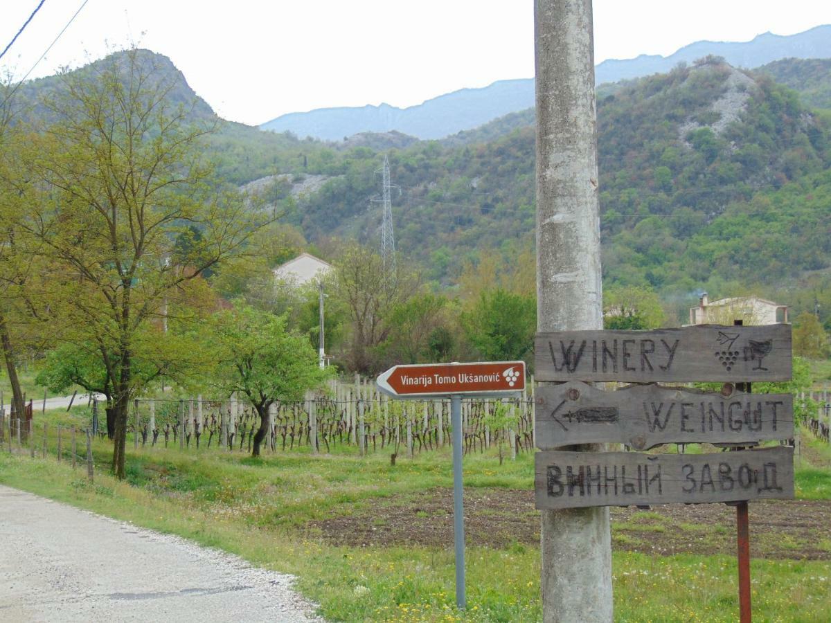 Studio And Winery Kalimut Virpazar Exteriér fotografie