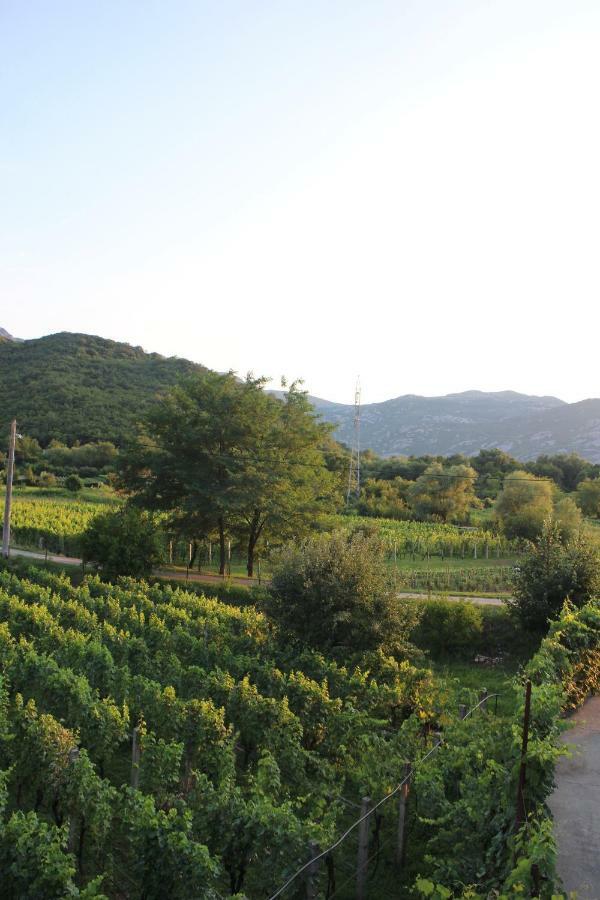 Studio And Winery Kalimut Virpazar Exteriér fotografie